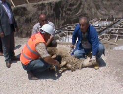 Suluova Yatılı Erkek Kuran Kursunun Temeli Atıldı