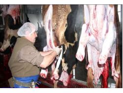 Ebk, Suluovada Et Kesimine Başladı