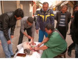 Vicdanlı Vatandaş, Minibüsün Çarptığı Köpeği Ameliyat Ettirdi