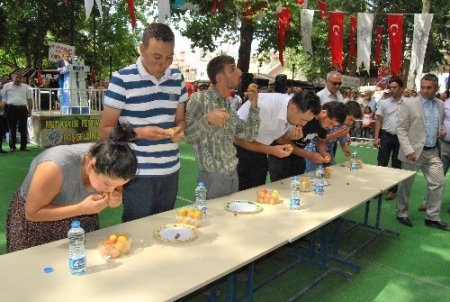 ‘40. Kayısı kültür ve Sanat Festivali’ törenle başladı