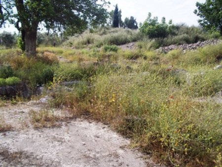 5 Bin Yıllık Antik Kent Kaderine Terk Edildi