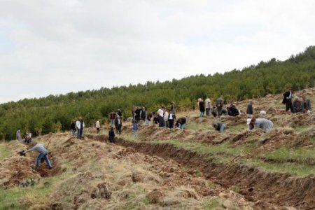 Erzurum BEAH 500 fidanı toprakla buluşturdu
