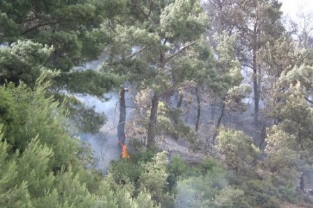 İzmir-Manisa yolunu kapatan yangın hala söndürülemedi