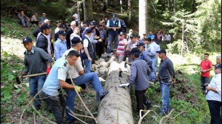 Köylülere ağaç depolama eğitimi