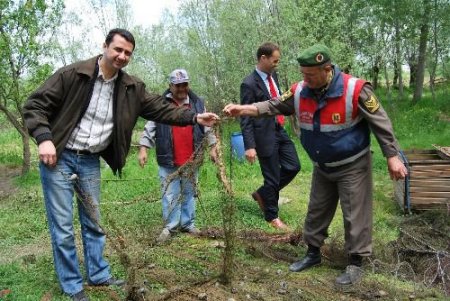 Sakarya'da Kaçak Balık Avı Görevlileri Şaşırttı