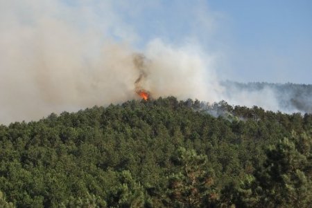 Sultanbeyli’deki orman yangını, kontrol altına alındı