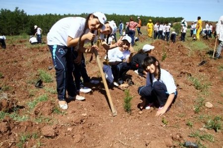 Türk Dünyası’nın çocukları ‘Kardeşlik Ormanı’ kurdu