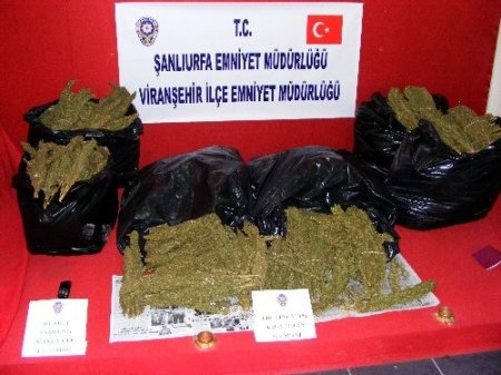 Viranşehir polisi 46 kilogram esrar ele geçirdi