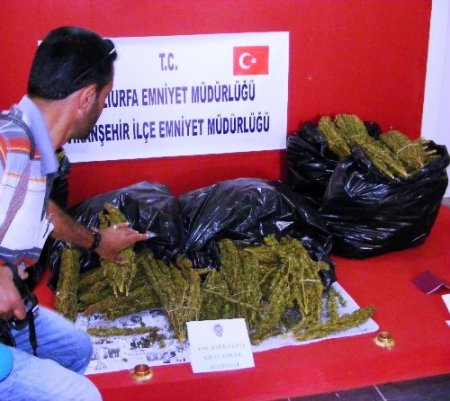 Viranşehir polisi 46 kilogram esrar ele geçirdi