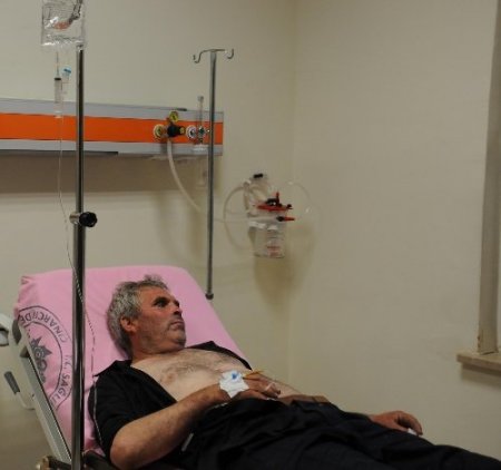 Yalova'da kaybolan çoban 48 saat sonra bulundu