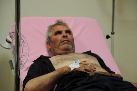 Yalova'da kaybolan çoban 48 saat sonra bulundu