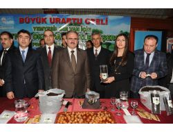 Vali Karaloğlu: Vanı Ceviziyle Marka Haline Gelen Bir Şehre Dönüştürelim