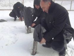 Tatvanda Soğuktan Korumak İçin Fidanlar Torbaya Sokuluyor