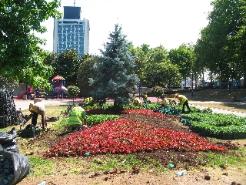 Gezi Parkında yenilenme sürüyor
