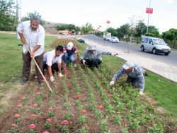 Elazığa 700 Bin Çiçek Dikildi