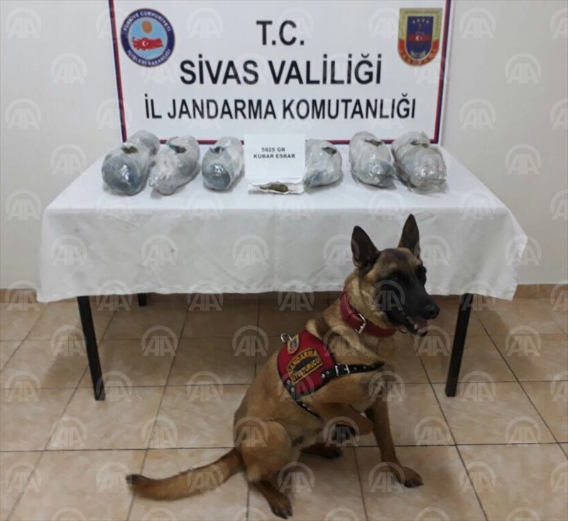 Sivasta uyuşturucu operasyonu