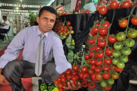Alanya 2. İyi Tarım Uygulamaları Şenliği Sergiyle Başladı