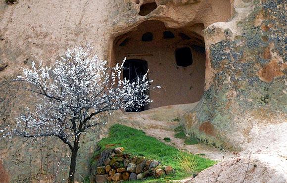 Kapadokyada bahar güzelliği büyülüyor  3