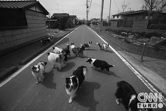 Nükleerin vurduğu hayalet Japon kasabası 3