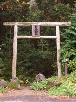 İntihar Ormanı: Aokigahara 2