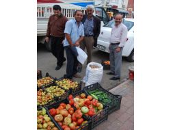 Batmanda Yerli Domates Bereketi