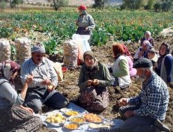 Köylerde İmece Usulü Yapılan İşler, Toplumsal Kaynaşmayı Sağlıyor