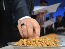 Çorumda Leblebiciler En Güzelini Üretmek İçin Yarıştı