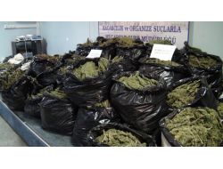 Şanlıurfa’da 2012de 6 Ton Uyuşturucu Ele Geçirildi