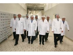 Osb Yönetimi Sütaşta İncelemelerde Bulundu