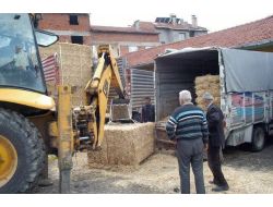 Orhanelinde 40 Ton İthal Saman Besicilere Dağıtıldı