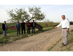 770 Sahabe Kabirinden 32sinin Yeri Biliniyor