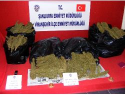 Viranşehir Polisi 46 Kilogram Esrar Ele Geçirdi