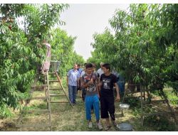 Kuzey Iraklı Öğrenciler Aydının Meyve Bahçelerine Hayran Kaldı