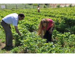 TUNCELİ’DE KADINLAR ÜRETİYOR