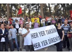 Kocaelinde Taksimdeki Ağaç Kesimine Tepki