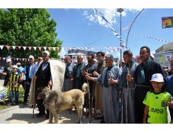 Afşinde Eshab-ı Kehfte 5. Yemliha Yürüyüşü Yapıldı