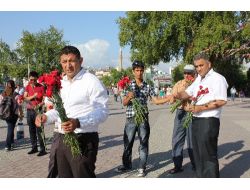 Alperen Ocakları Güllerin Efendisi Adına Bin Karanfil Dağıttı