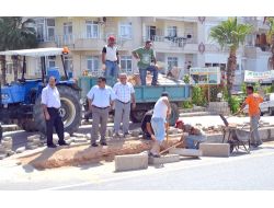 Alanya Cezaevinde Kalan Hükümlüler Belediyenin İşçisi Gibi Çalışıyor