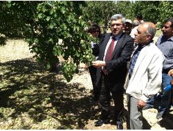 Baskilde Dolu Zararı Tespiti Başladı