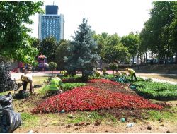 Gezi Parkında Yenilenme Sürüyor..