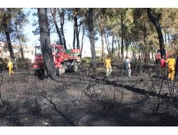 Manavgatta Çıkan Yangında 7 Dönümlük Ormanlık Alan Zarar Gördü