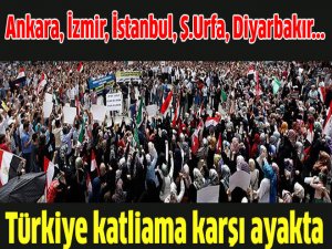 Türkiye katliama karşı ayakta!
