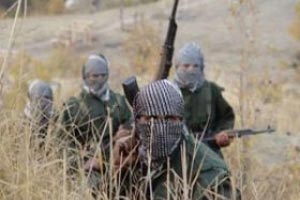 Türkiyeye girmeye çalışan PKKlı yakalandı