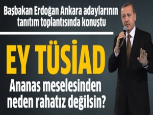 Başbakan Erdoğan net konuştu!