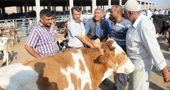 Kurban Bayramı tatili 9 gün olacak mı?