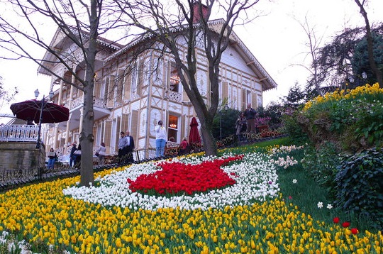 İBBden Emirgan Korusu açıklaması