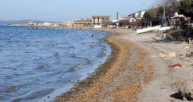 Çanakkalede deniz 3 metre çekildi