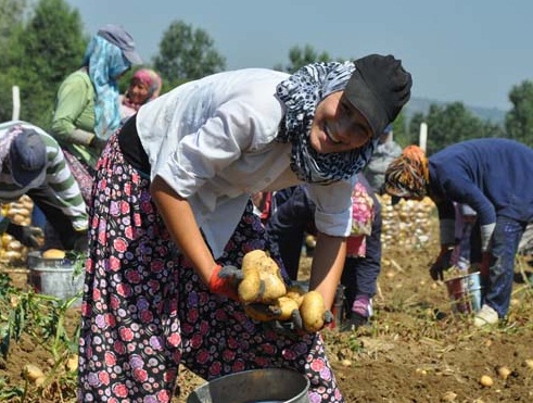 İzin çıktı! İlk olarak 1000 ton patates ve kuru soğan gitti