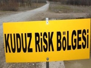 Kuduz kurban paniği