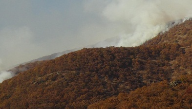 Şırnakta 1 terörist etkisiz hale getirildi